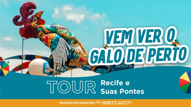 Recife e suas Pontes